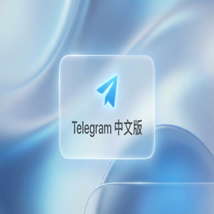 纸飞机中文版会员文件上传大小限制提升说明 - Telegram 官网